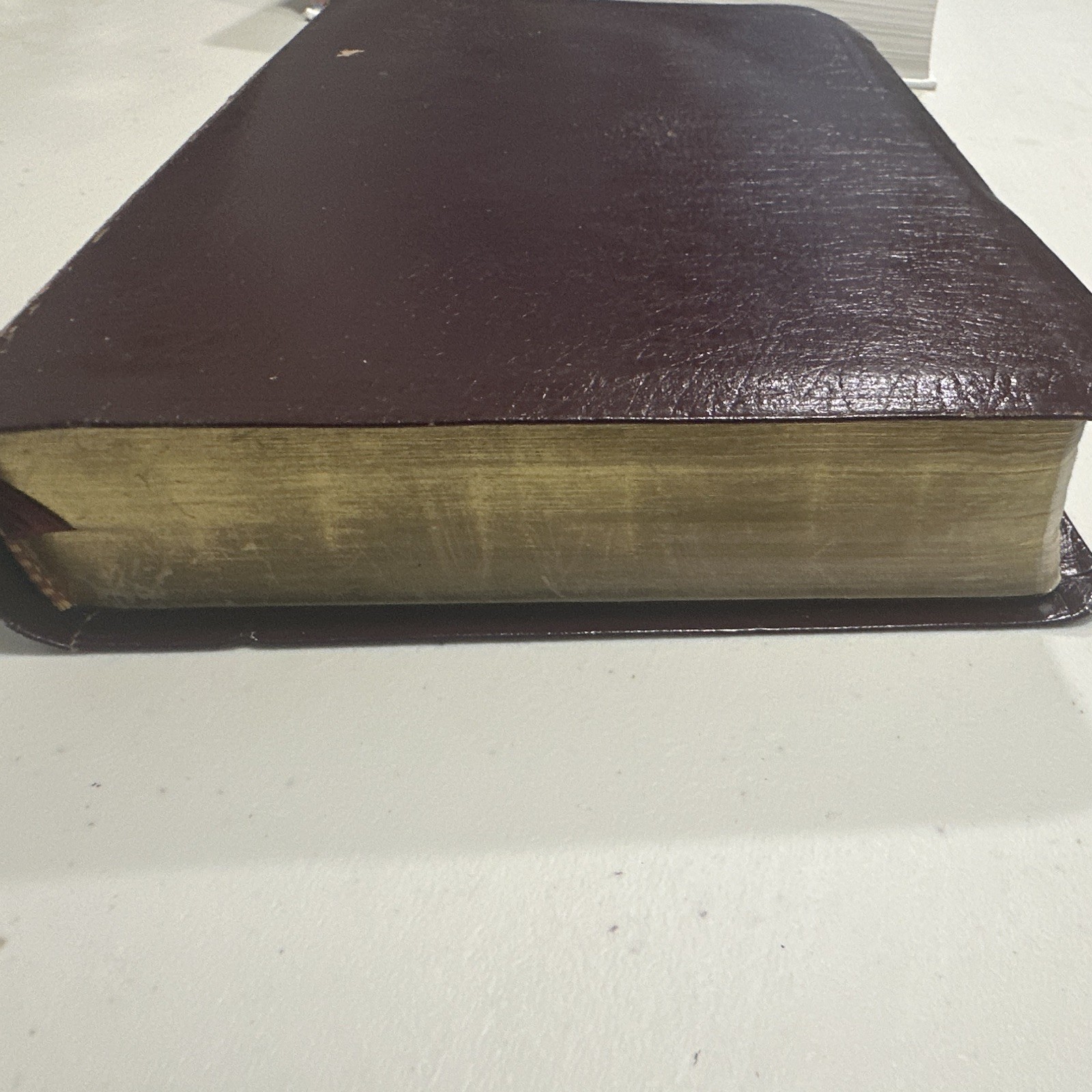 The Rainbow Study Bible King James Version (KJV) Leather Bound Study Bible