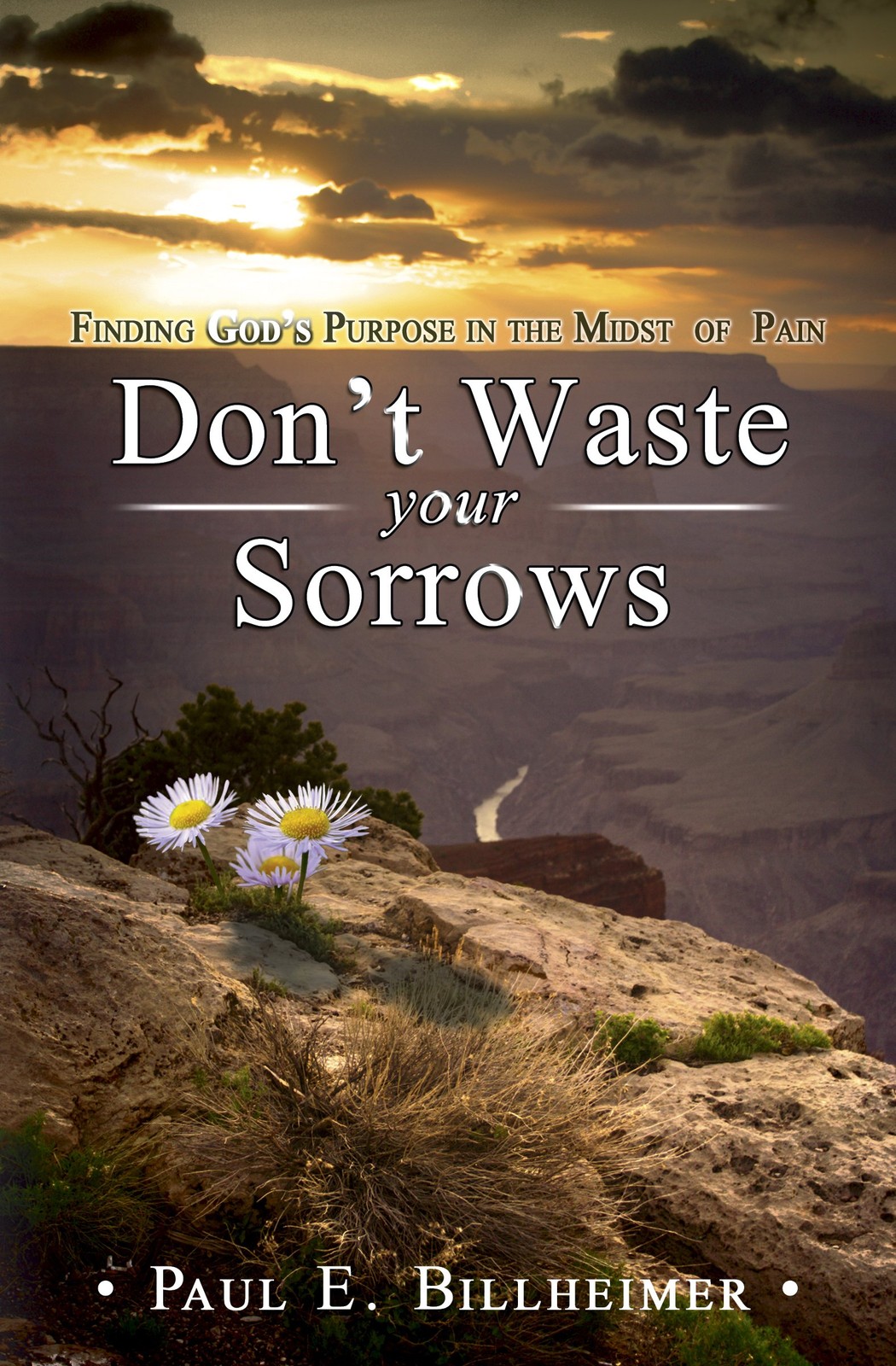 Don’t Waste Your Sorrows – Billheimer, Paul E. – Good – See condition notes
