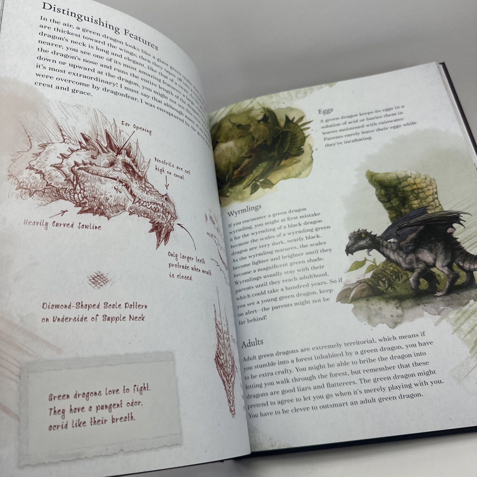Practically Complete Guide to Dragons Dungeons & Dragons HC Wizards of the Coast