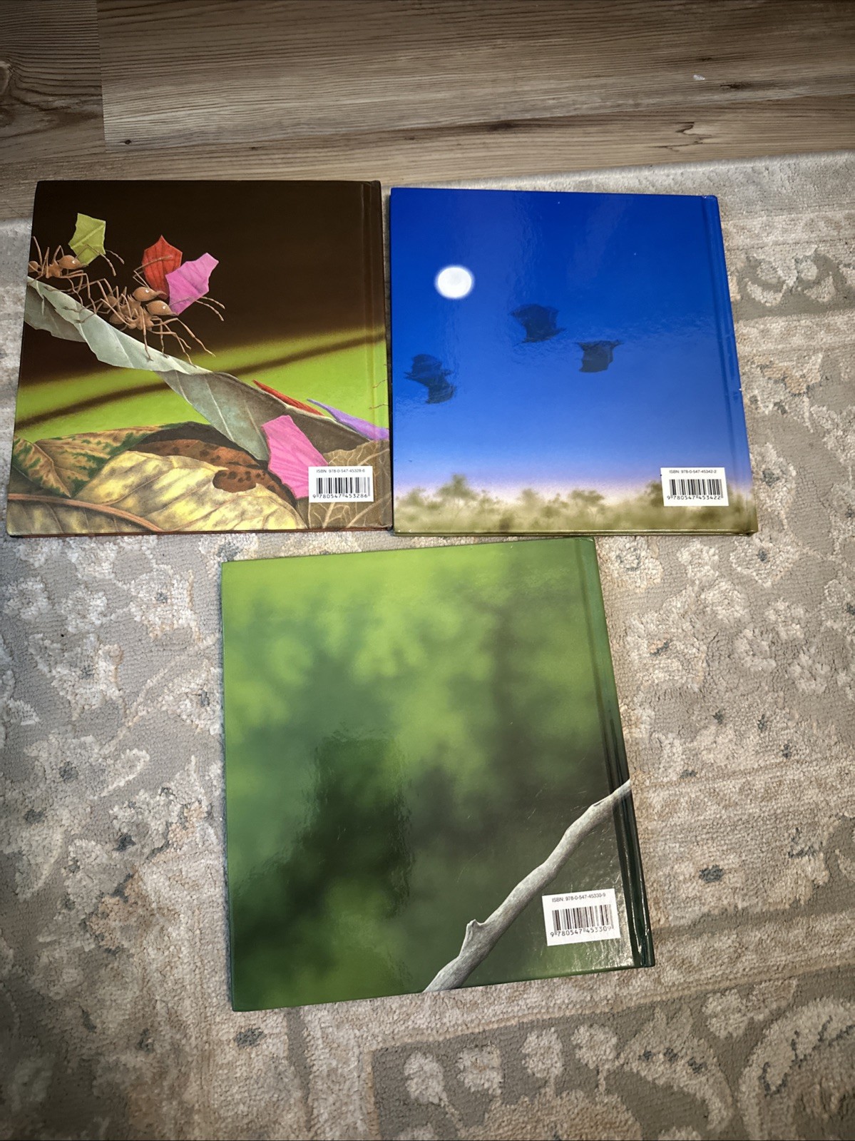 Stellaluna Signed by Author Janell Cannon Set of 3 Books w/ Crickwing & Verdi