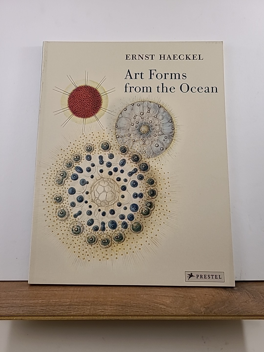 Art Forms from the Ocean : The Radiolarian Prints of Ernst Haeckel by Olaf…