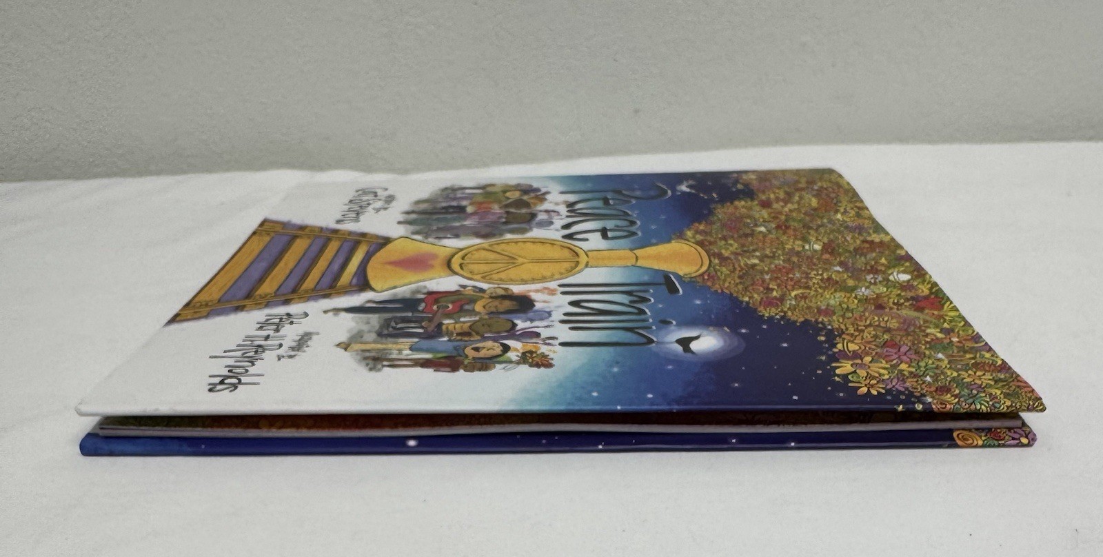 Peace Train (Hardback or Cased Book)