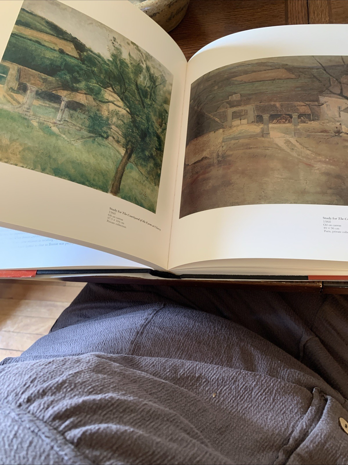 BALTHUS By Claude Roy – Hardcover with Dust Jacket First American printing