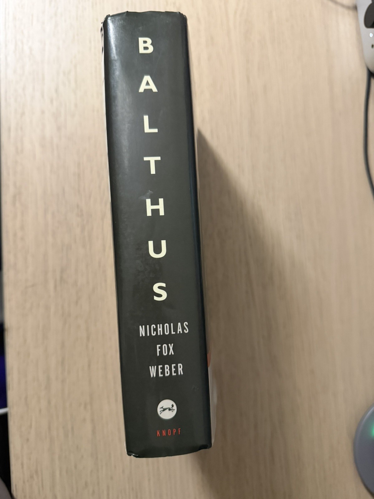 Balthus : A Biography by Nicholas Fox Weber (1999, Hardcover)