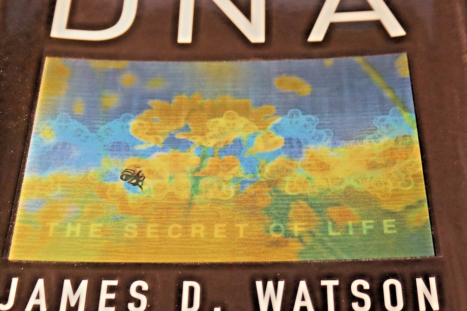 James D. Watson Signed Autographed First 1st Edition DNA: THE SECRET OF LIFE