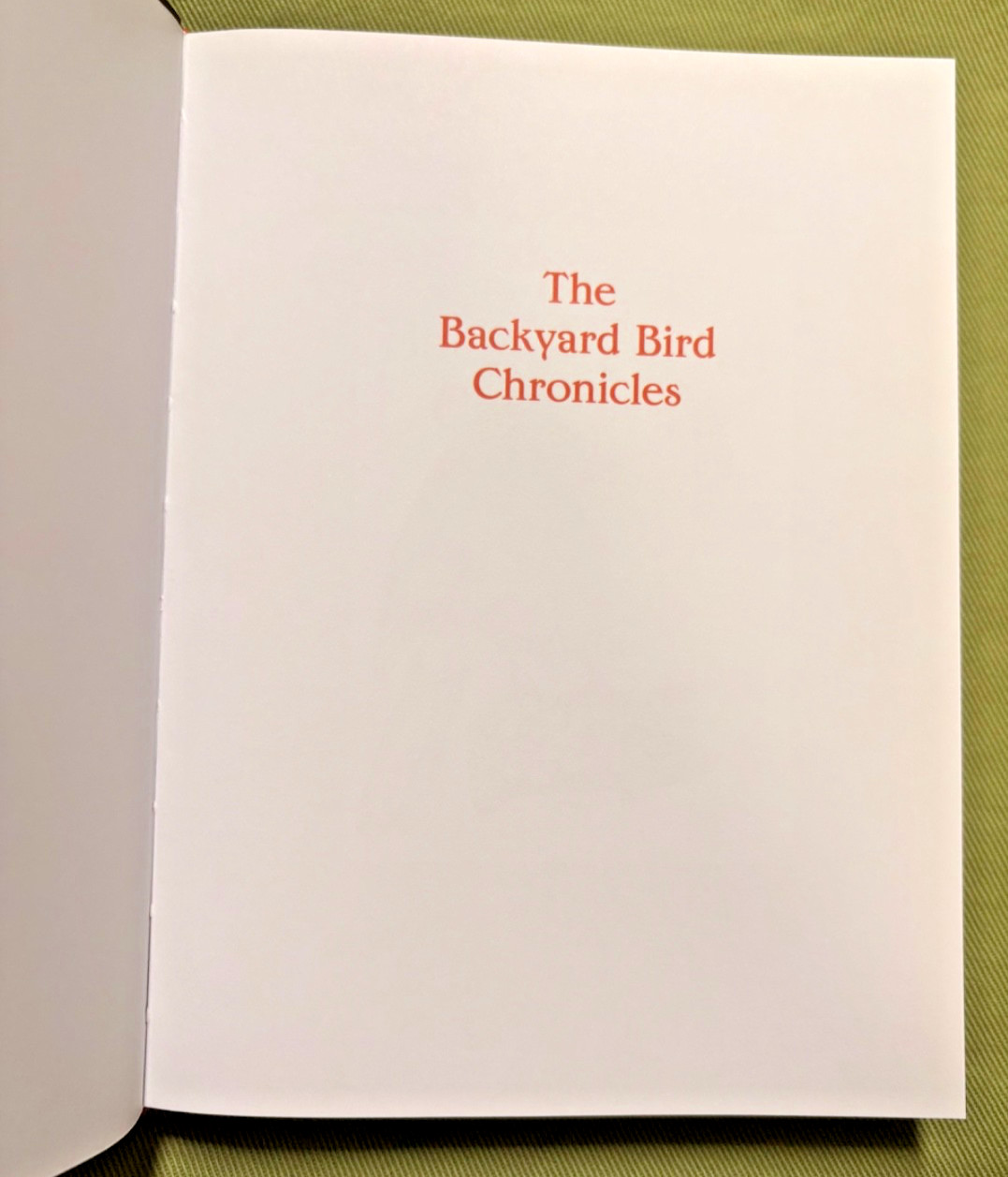 The Backyard Bird Chronicles – Written and Illustrated by Amy Tan