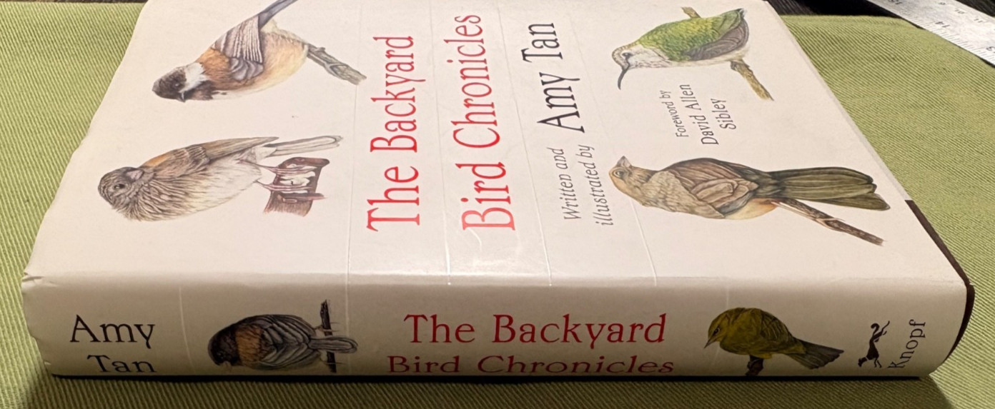 The Backyard Bird Chronicles – Written and Illustrated by Amy Tan