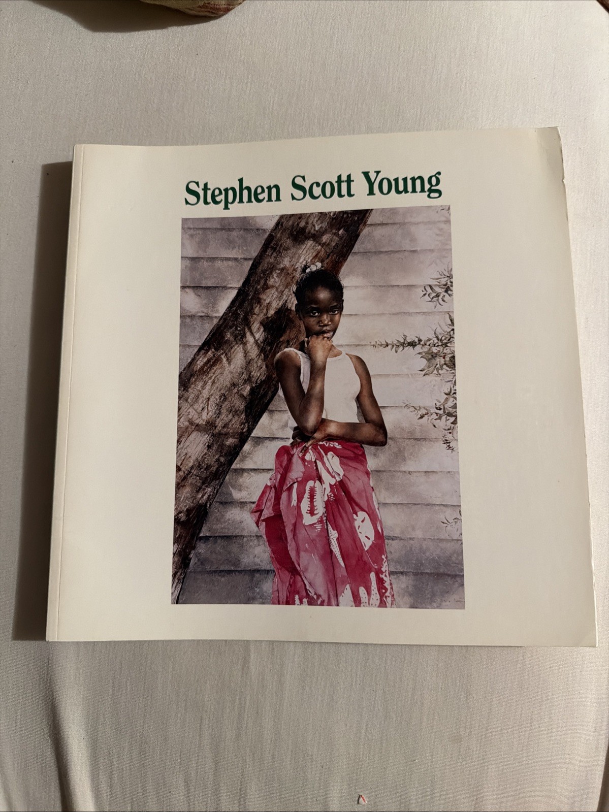 Stephen Scott Young, Surovek Gallery FL Catalog, In The American Tradition, 1996