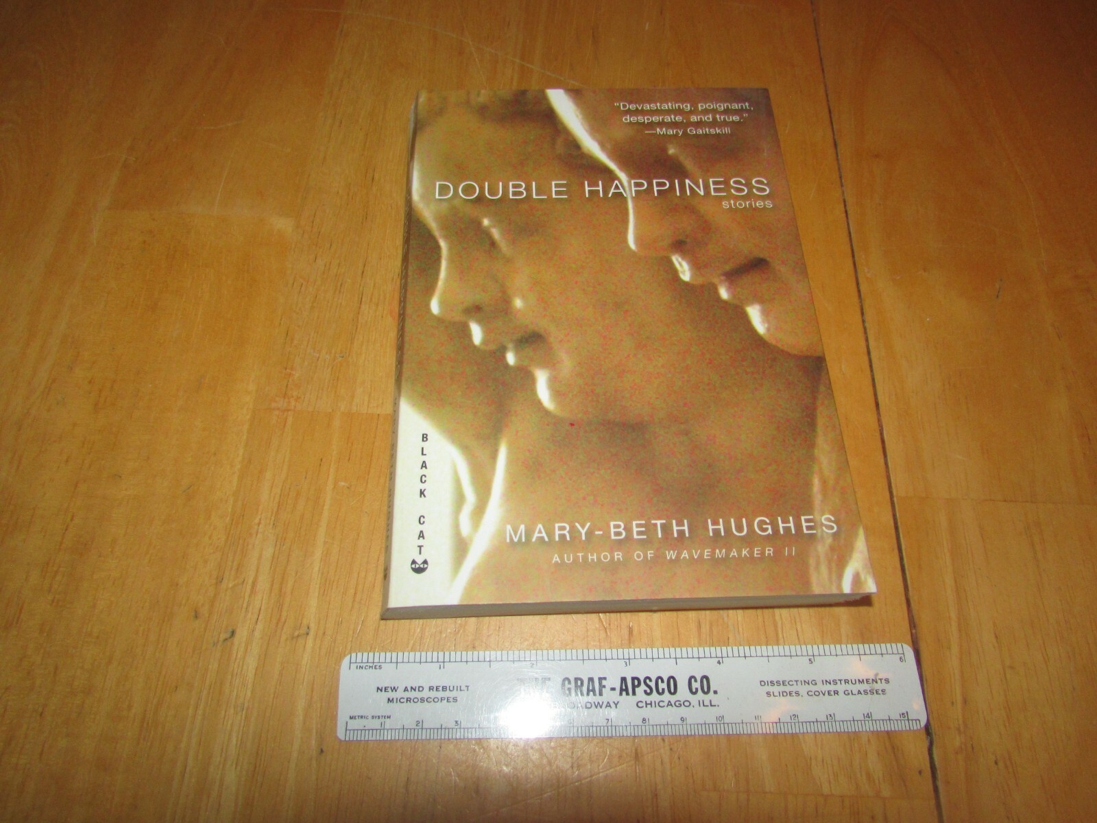 Double Happiness : Stories by Mary-Beth Hughes (2010, Trade Paperback)