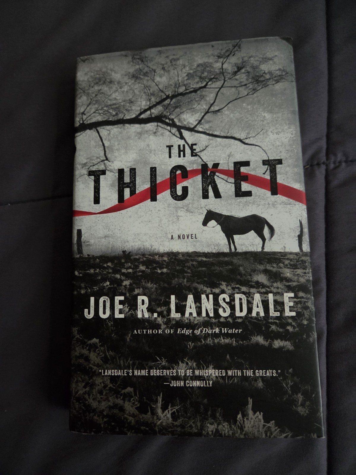 The Thicket- Joe R. Lansdale- 2013- HBDJ- Southern Gothic Adventure- Mulholland