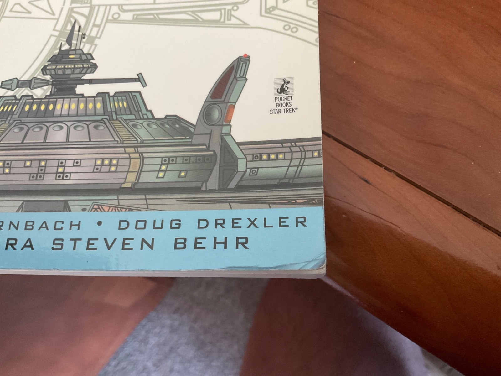 Star Trek: Deep Space Nine Technical Manual by Herman Zimmerman