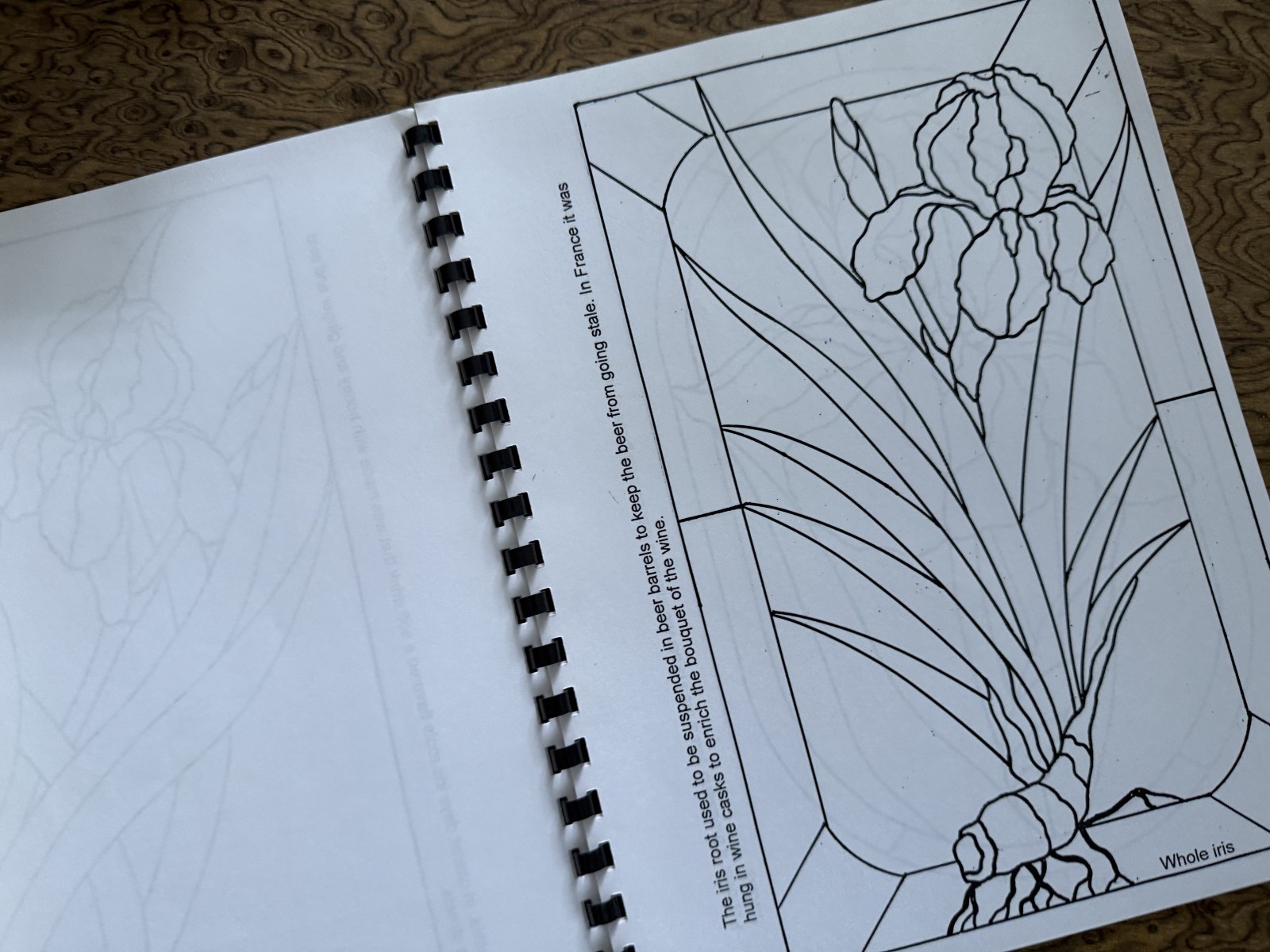 Irises Coloring Book Spiral Binding 20 Pages NEW 2002