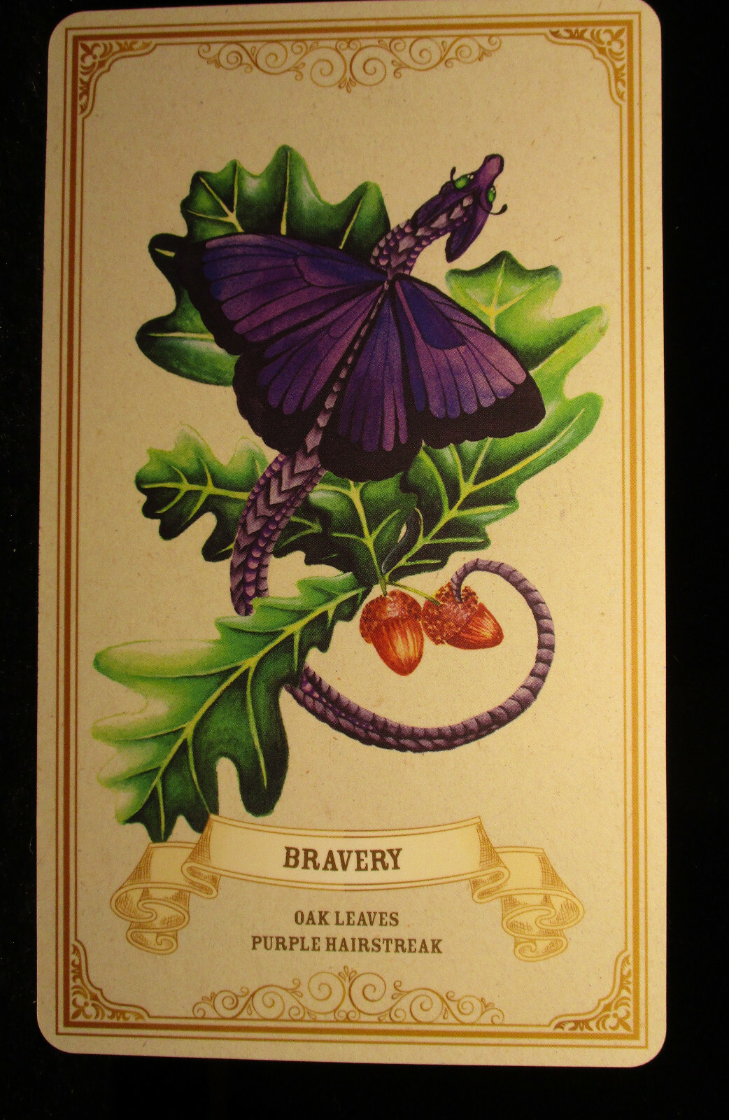 SEALED NEW ~ ENCHANTED BLOSSOMS CARDS & BOOK ORACLE DRAGONS BUTTERFLIES FLOWERS