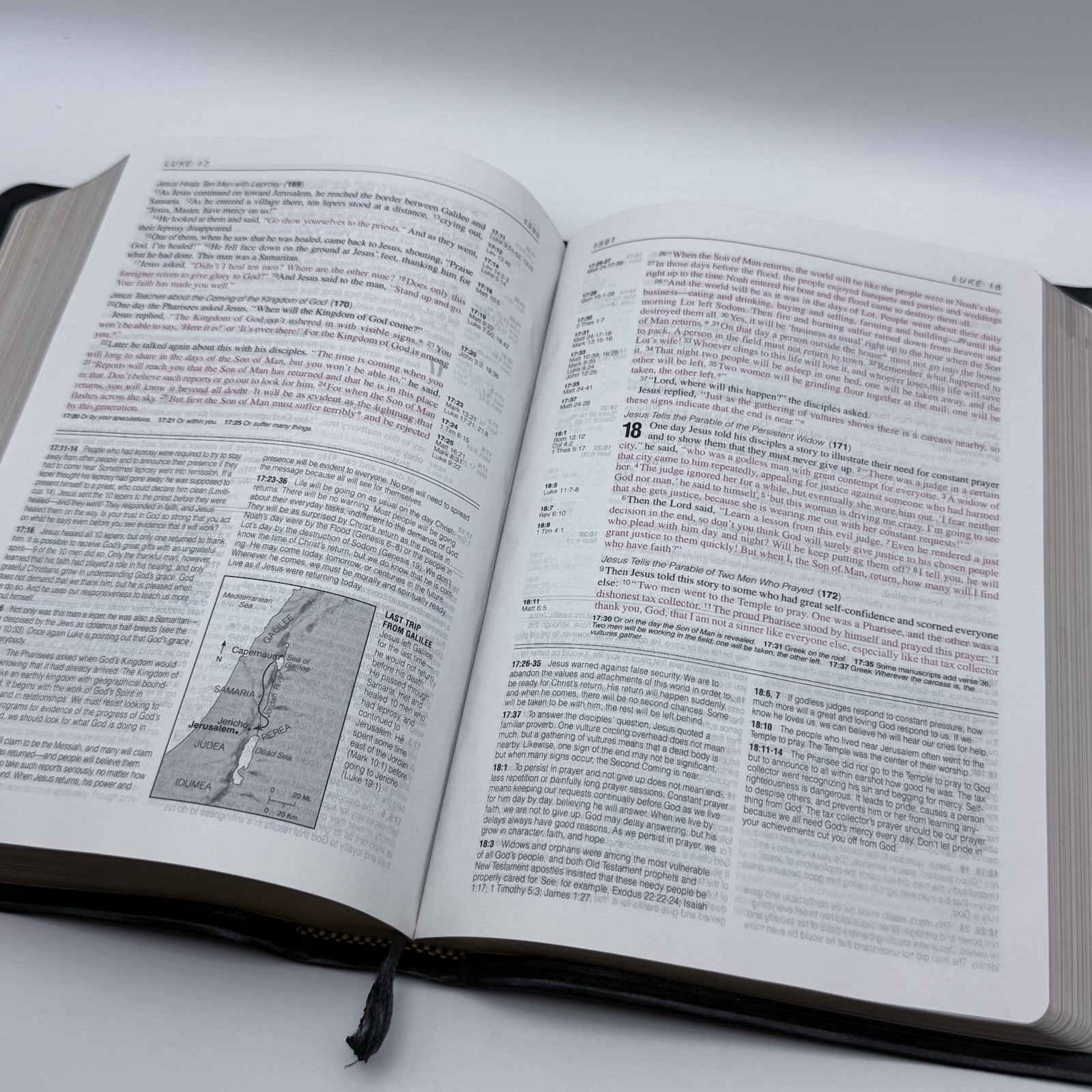 LIFE APPLICATION STUDY BIBLE NEW LIVING TRANSLATION NLT Leather Cover Tyndale