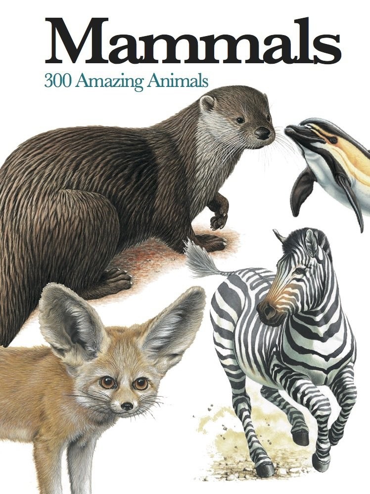 Mammals: 300 Amazing Animals (Mini Expert Guides) – flexibound McNab, Chris