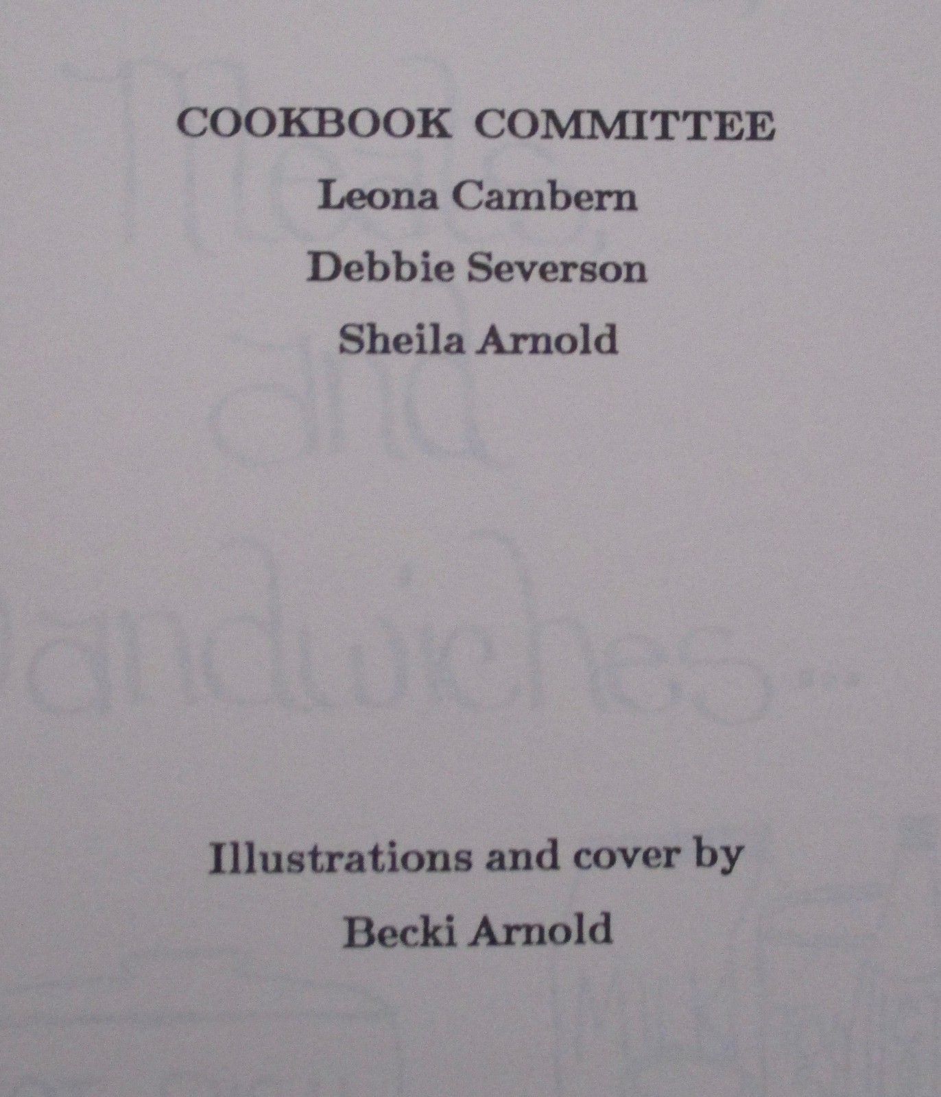 1989 Fountain, MN Minnesota vintage United Methodist Church Cookbook cook book