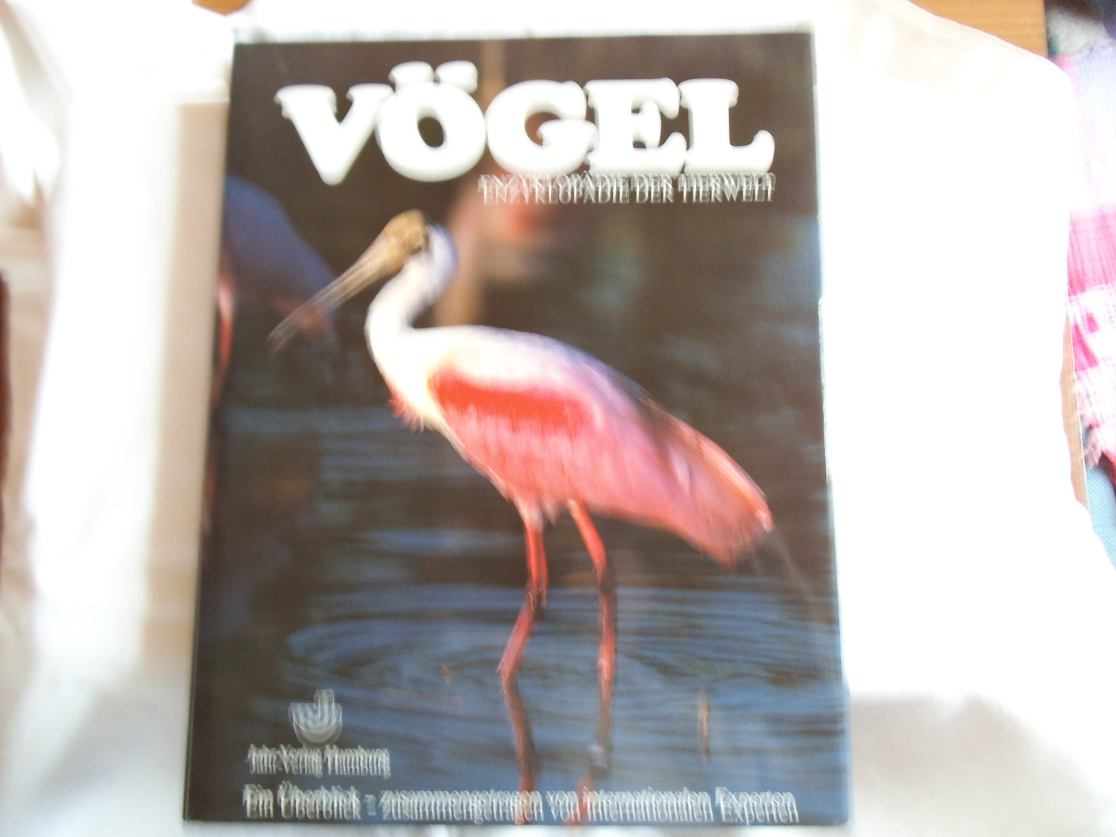 Joseph Forshaw: Vögel. Großformat