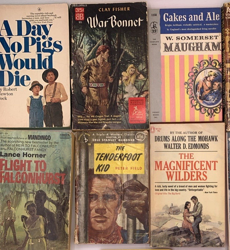 Lot of 12 Paperback Pocket Books, 1900’s B151