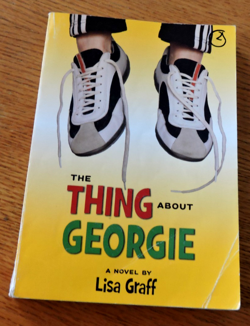 The Thing About Georgie paperback 220 pages by Lisa Graff 2008 juvenile interest