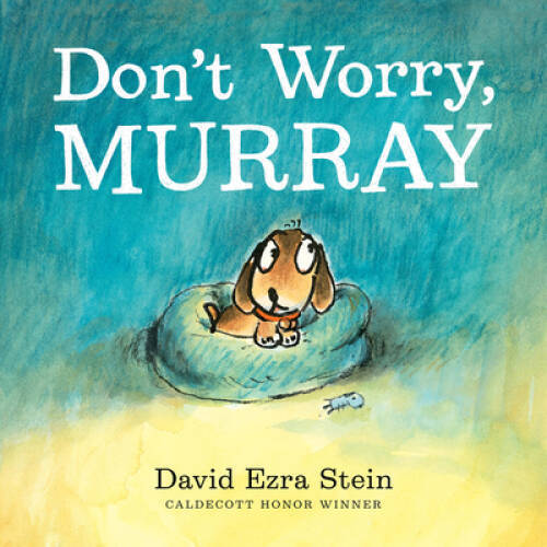 Dont Worry, Murray – Hardcover By Stein, David Ezra – GOOD