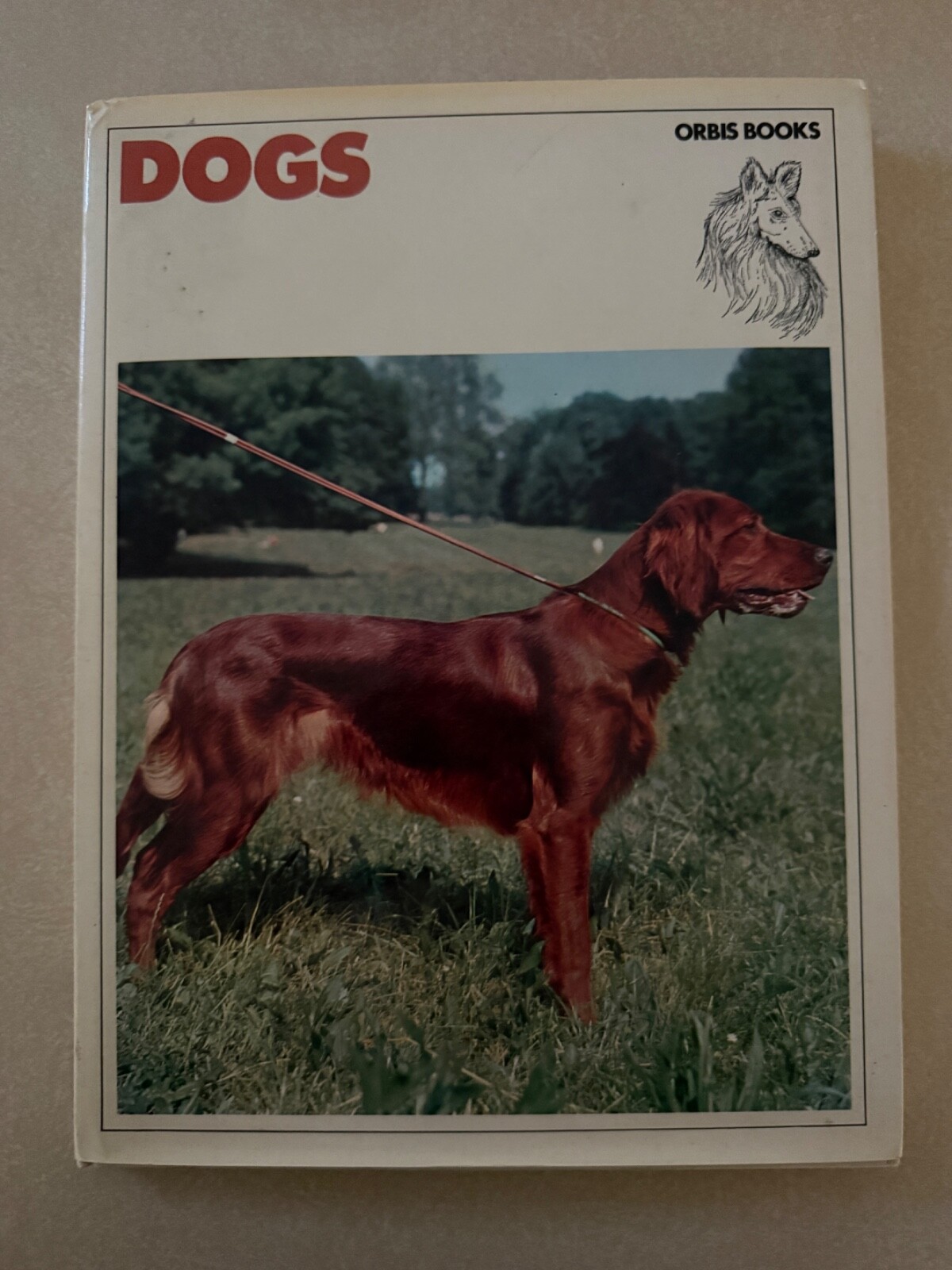 Dogs: Champions of Pedigree. Orbis Books Series. Rare Find.