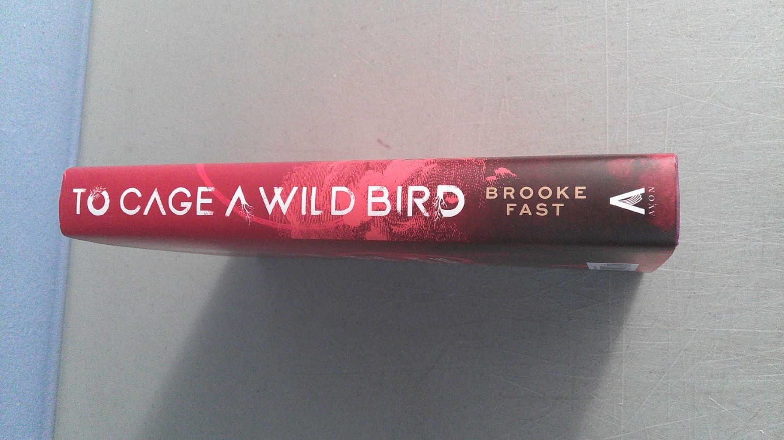 To Cage A Wild Bird 2025 HC Deluxe Limited Edition by Brooke Fast