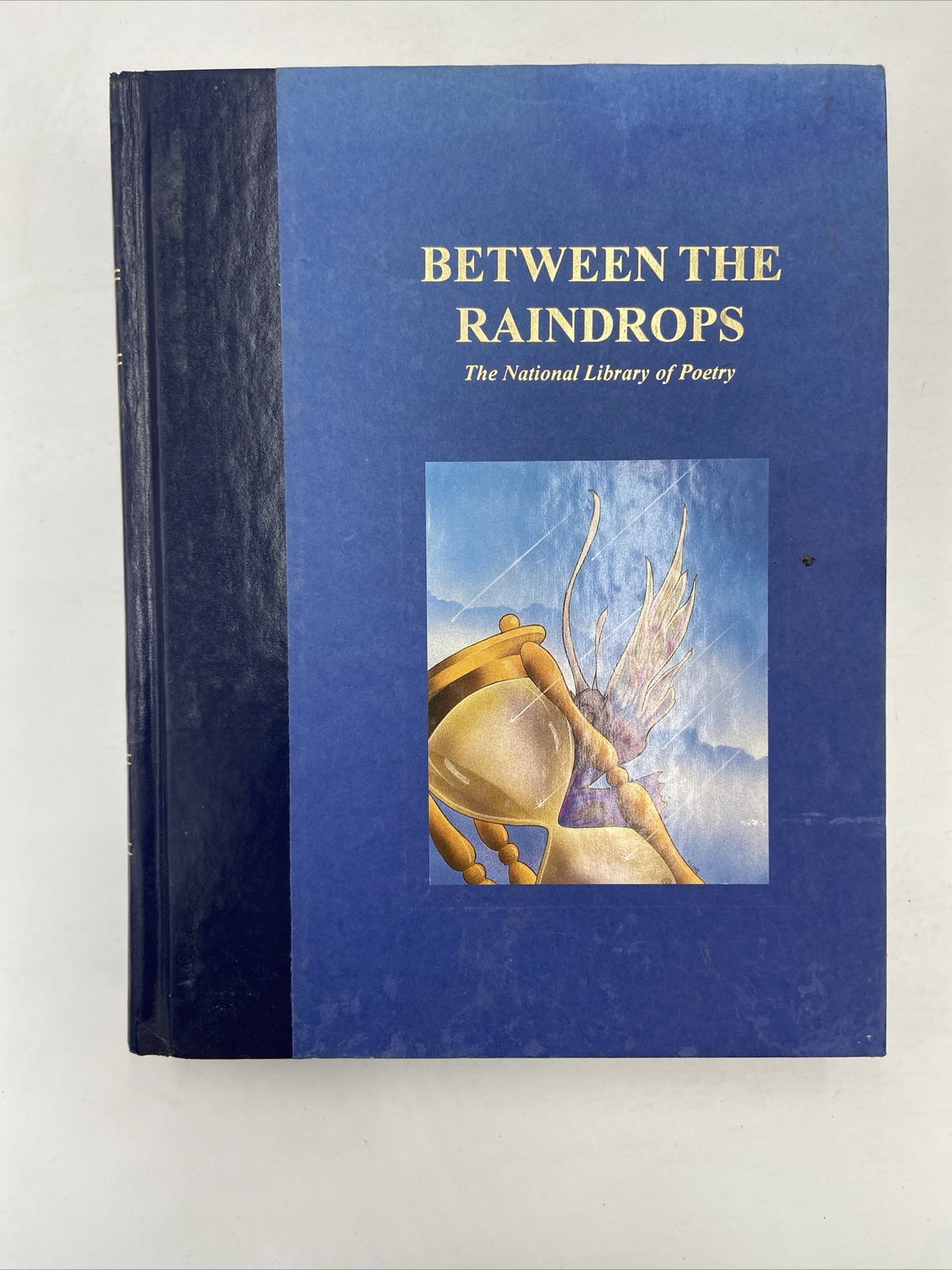 BETWEEN THE RAINDROPS The National Library of Poetry Nicole Walstrum 1995 HC