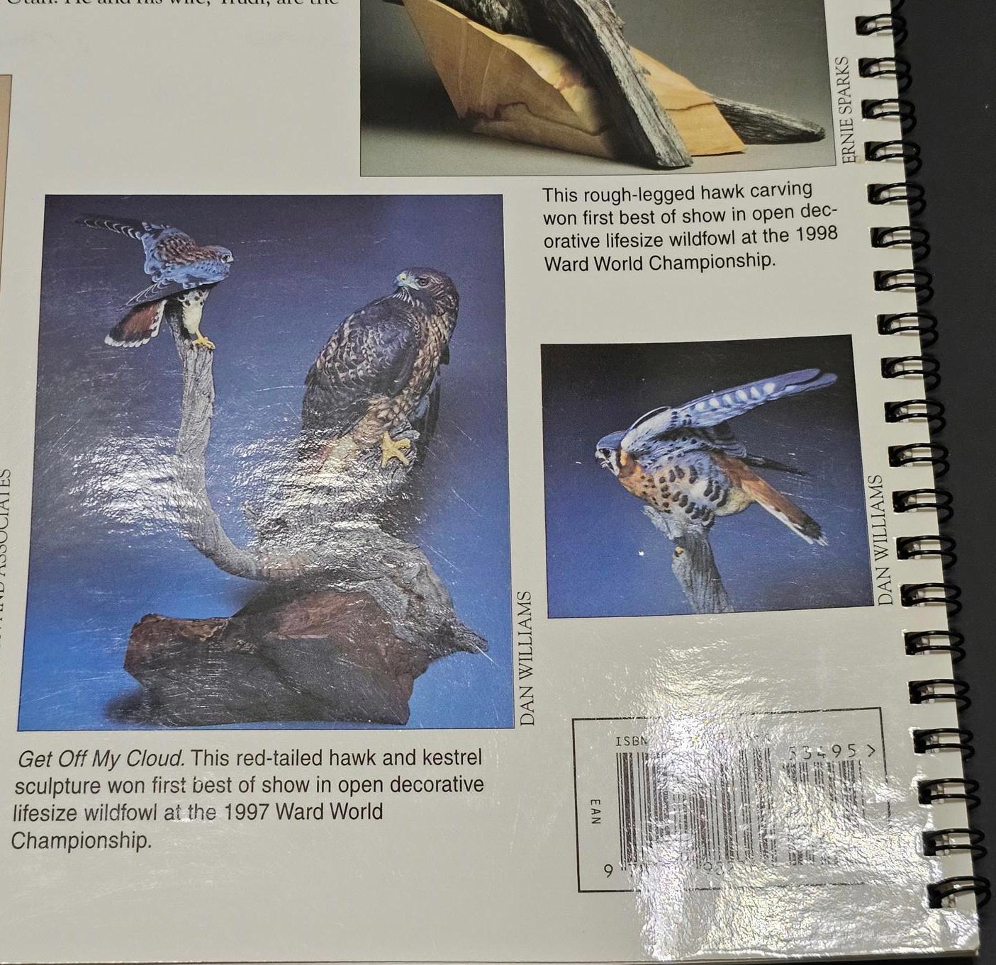 Wildfowl Carving Magazine Workbench Projects Lifesize Merlin How-To Book