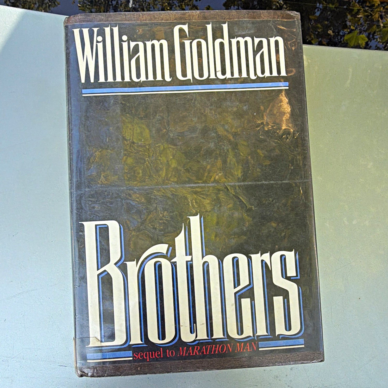 Brothers by William Goldman Hardcover Novel w/ Dust Jacket, Warner Books