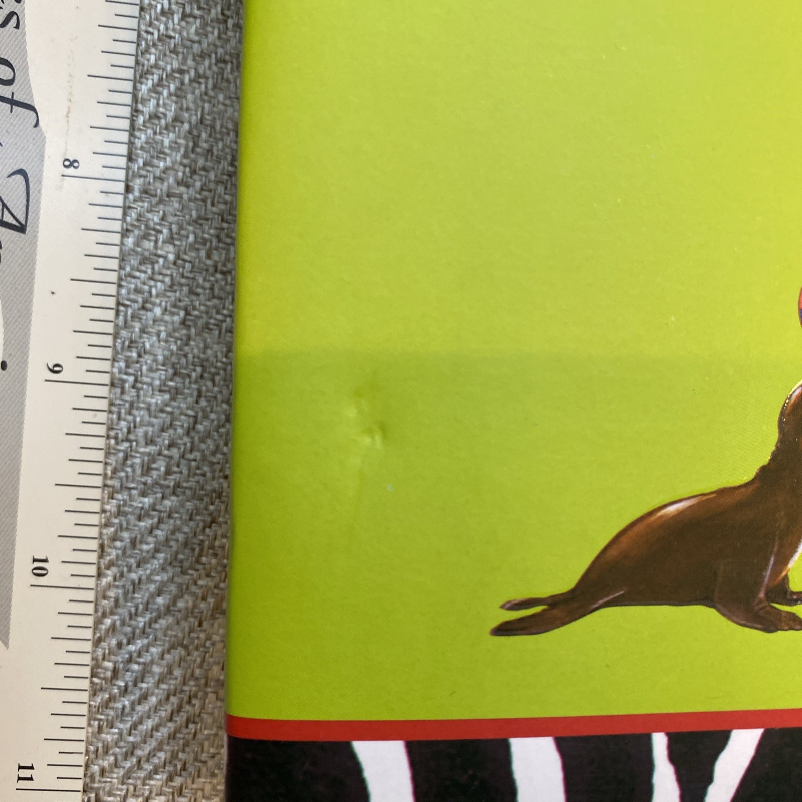 Das Grosse Buch vom Zoo German Language children’s book Adrian 252 Pages