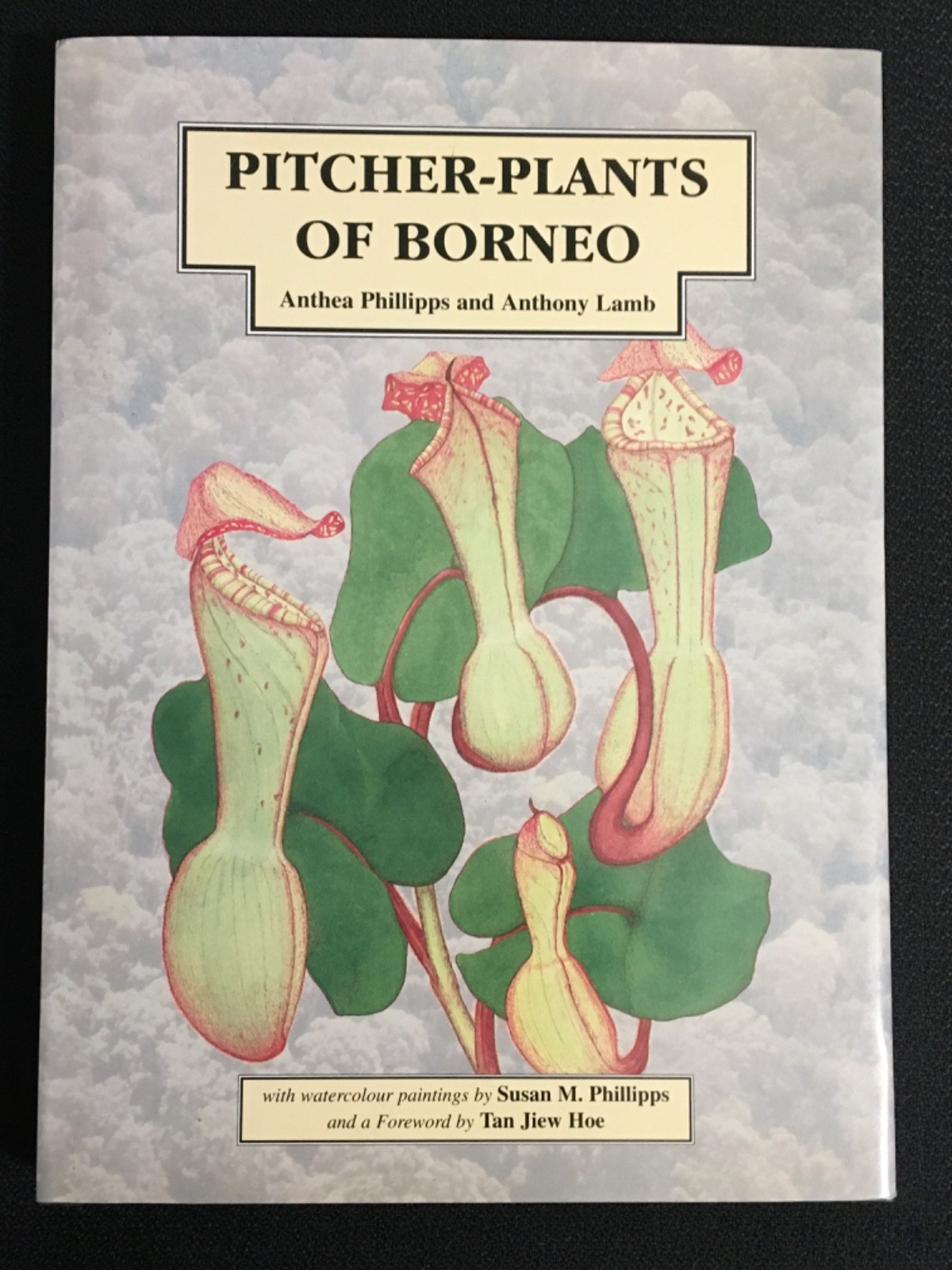 PITCHER-PLANTS OF BORNEO Anthea Phillipps & Anthony Lamb Paintings Botony Art LN
