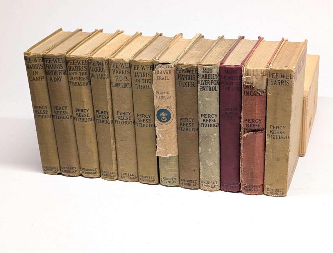 Pee-Wee Harris Boy Scout Book Lot (12) Percy Keese Fitzhugh 1920s Grosset
