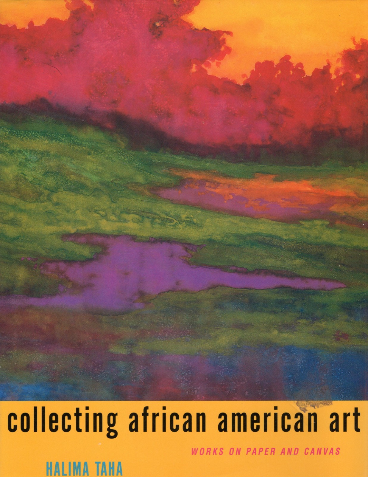 Collecting African American Art: Works on Paper and Canvas