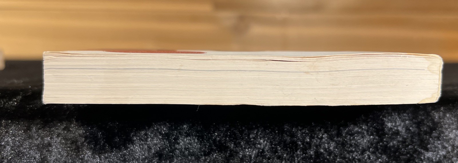 SIGNED ‘Thinking in Pictures’ — Temple Grandin (Expanded Edition Softcover)