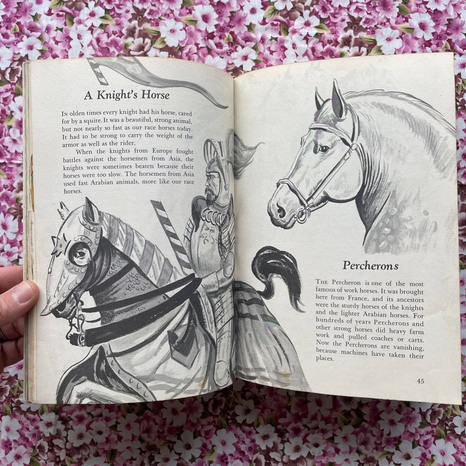 Children’s Guide to Knowledge Parents’ Magazine Press (1974 VTG Illustrated HC)