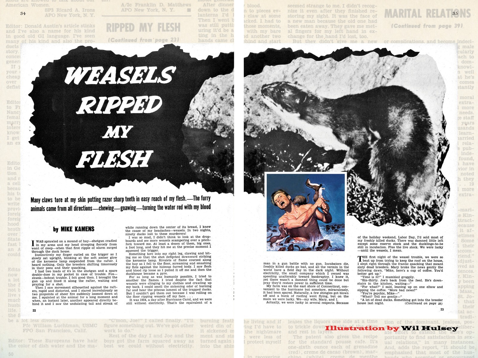 NEW! The full color, expanded WEASELS RIPPED MY FLESH! anthology (Softcover)