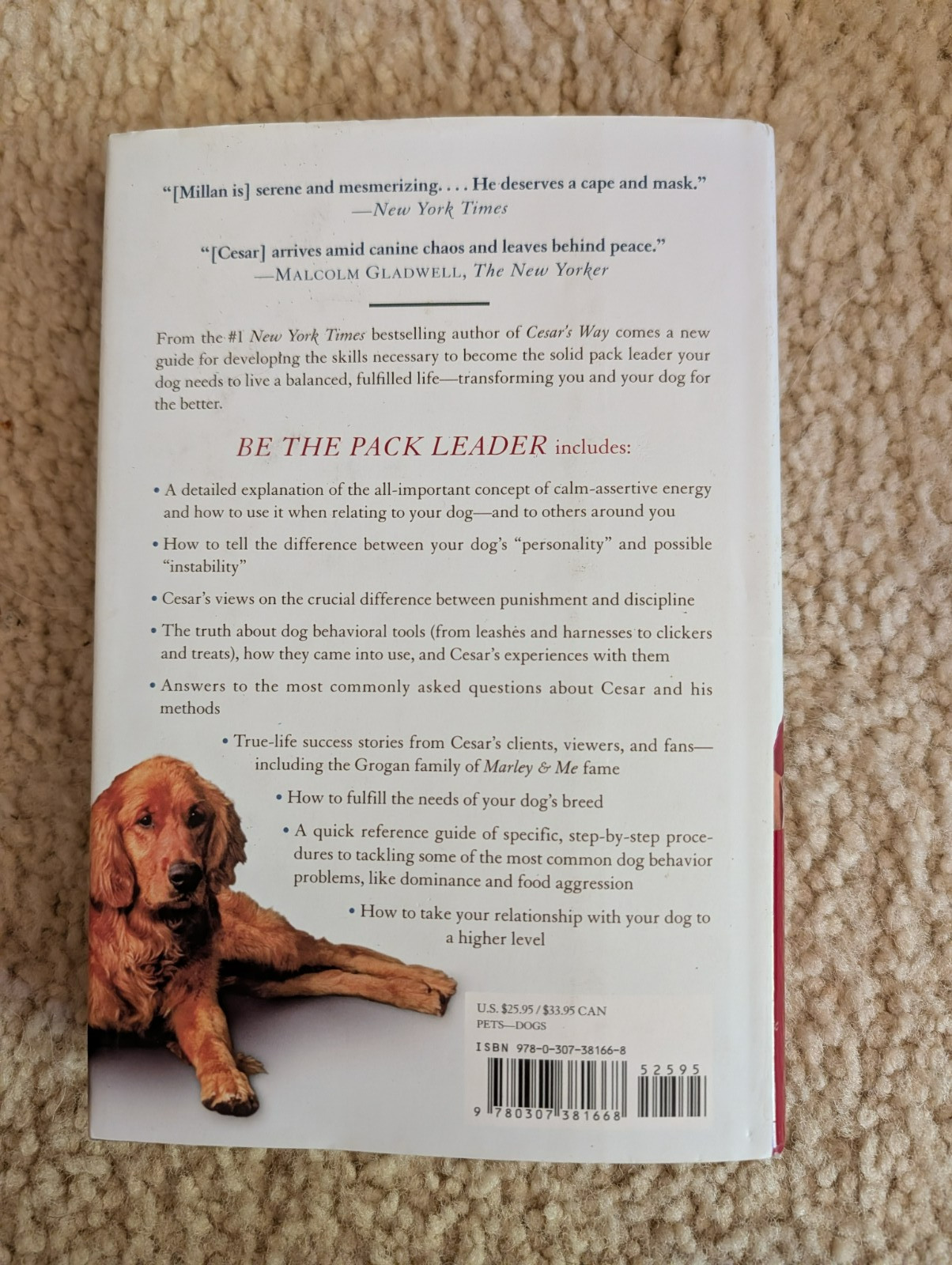 Be the Pack Leader : Use Cesar’s Way to Transform Your Dog… and Your Life…