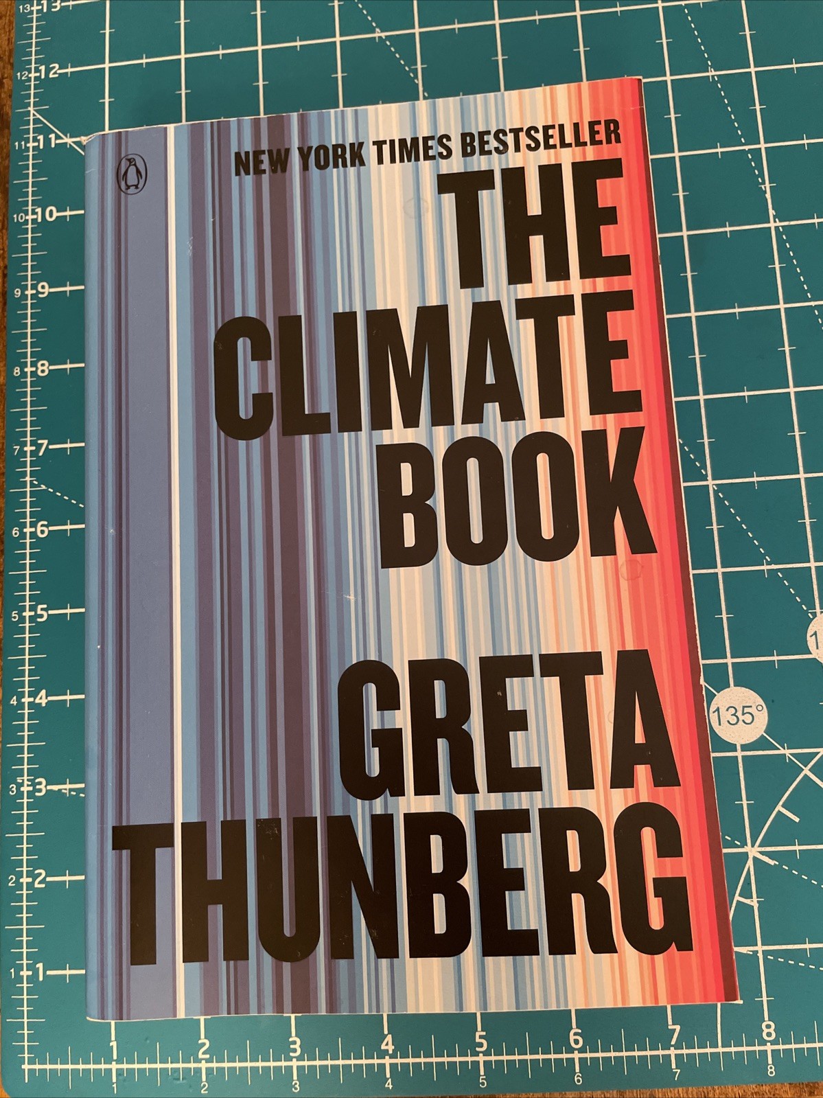 Climate Book : The Facts and the Solutions by Greta Thunberg (2024, Trade…