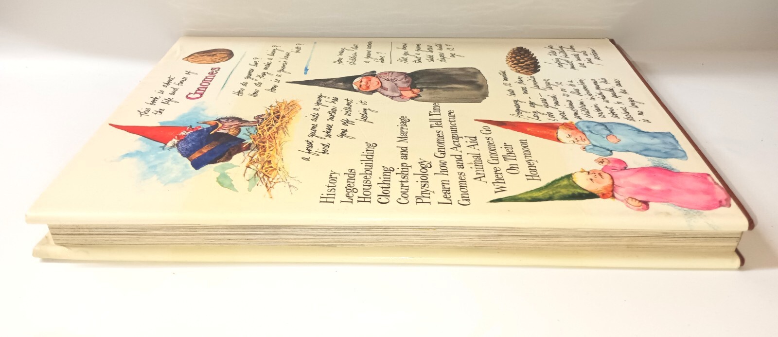 Forest GnomesHardback Book 212 Pages Illustrated By Rien Pooravliet Read Info