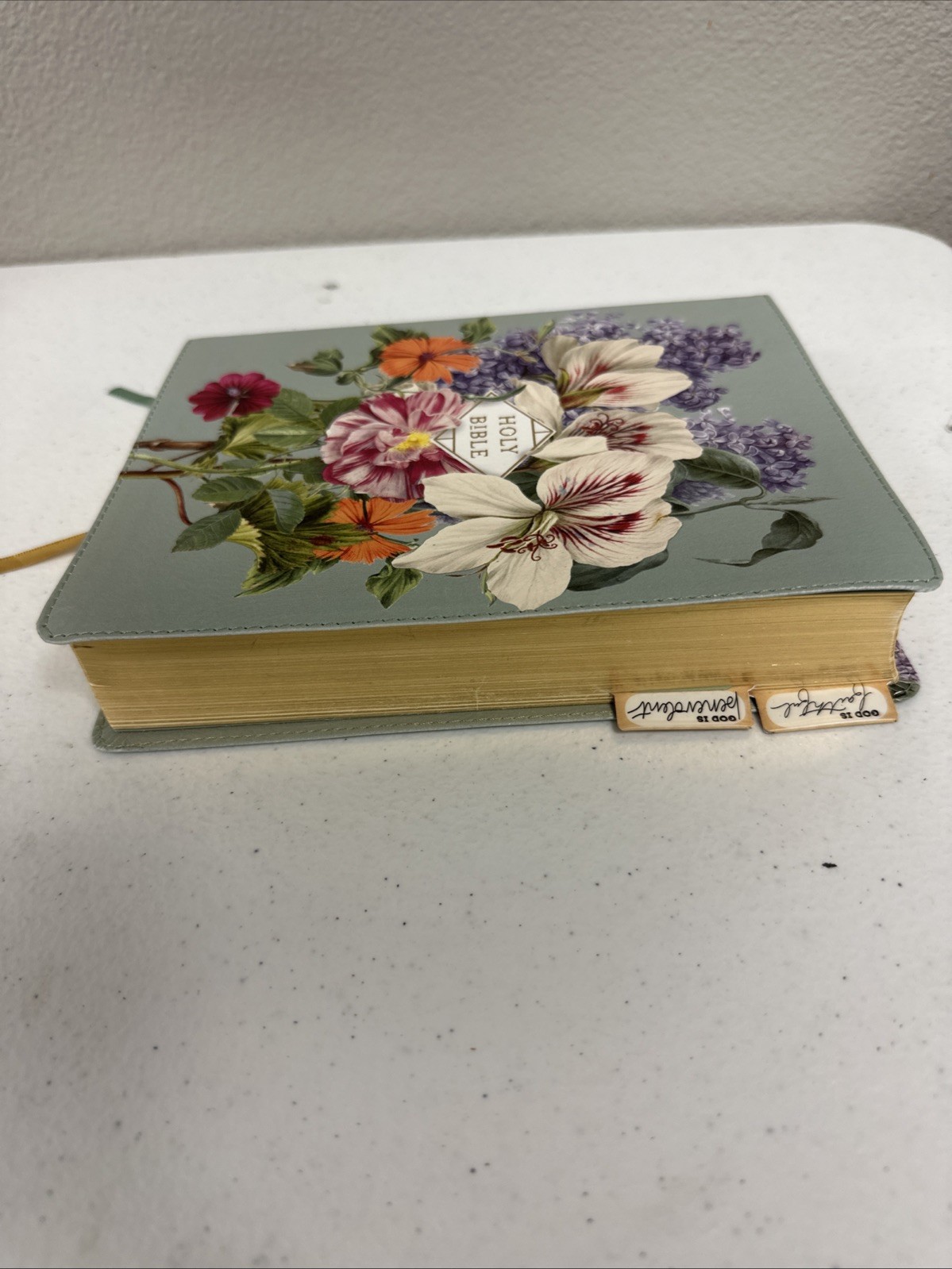 NASB, Artisan Collection Bible, Large Print, Leathersoft, Sage Floral, Red