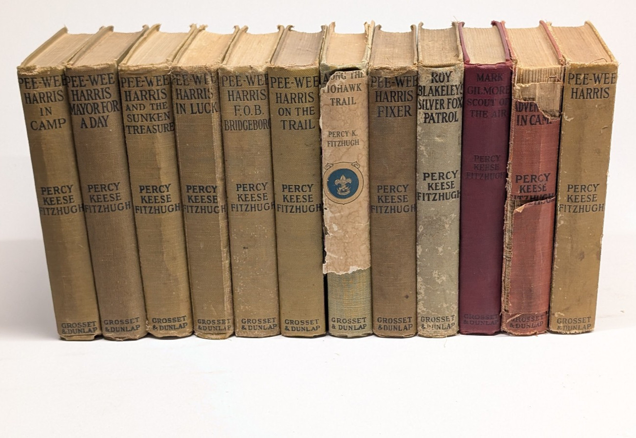 Pee-Wee Harris Boy Scout Book Lot (12) Percy Keese Fitzhugh 1920s Grosset