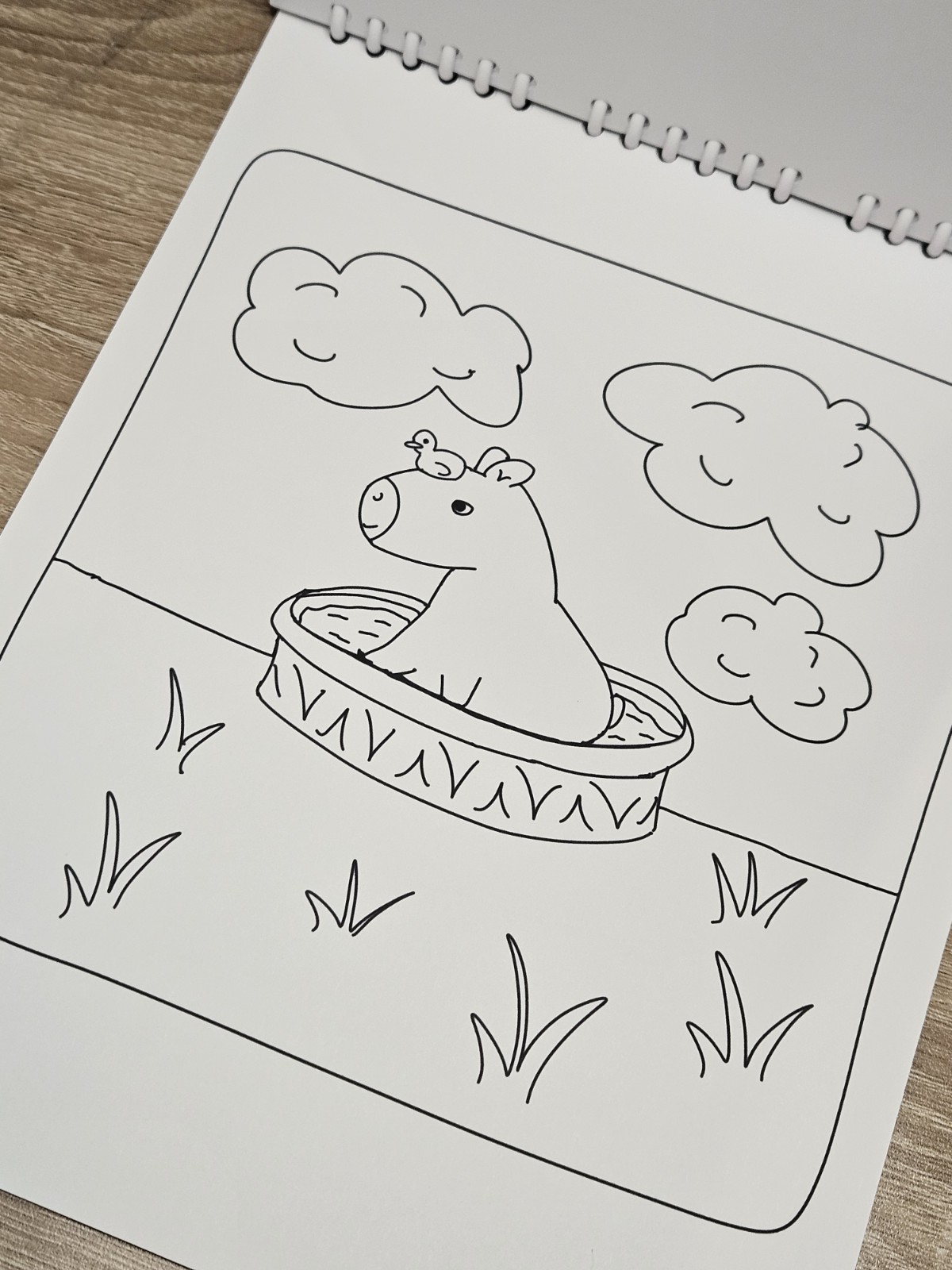 Rainforest Pals Coloring Book 20 Coloring Pages on 150gsm Paper