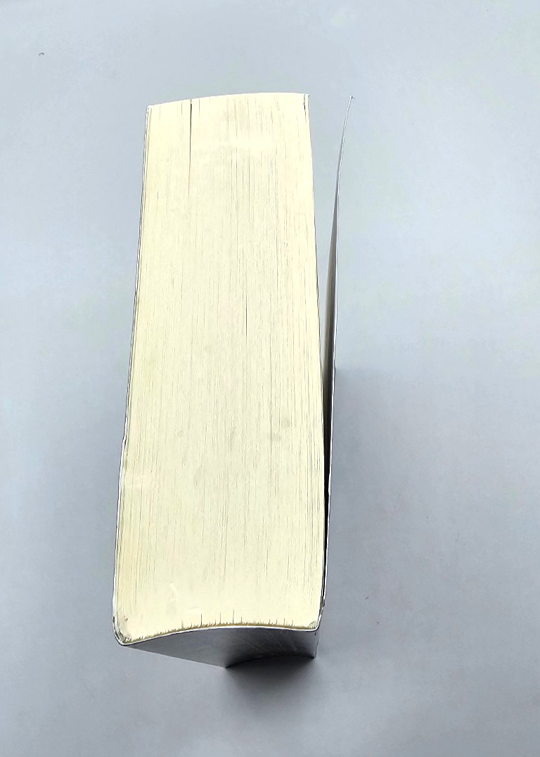 This Inevitable Ruin by Matt Dinniman – Dungeon Crawler Carl Paperback 1st