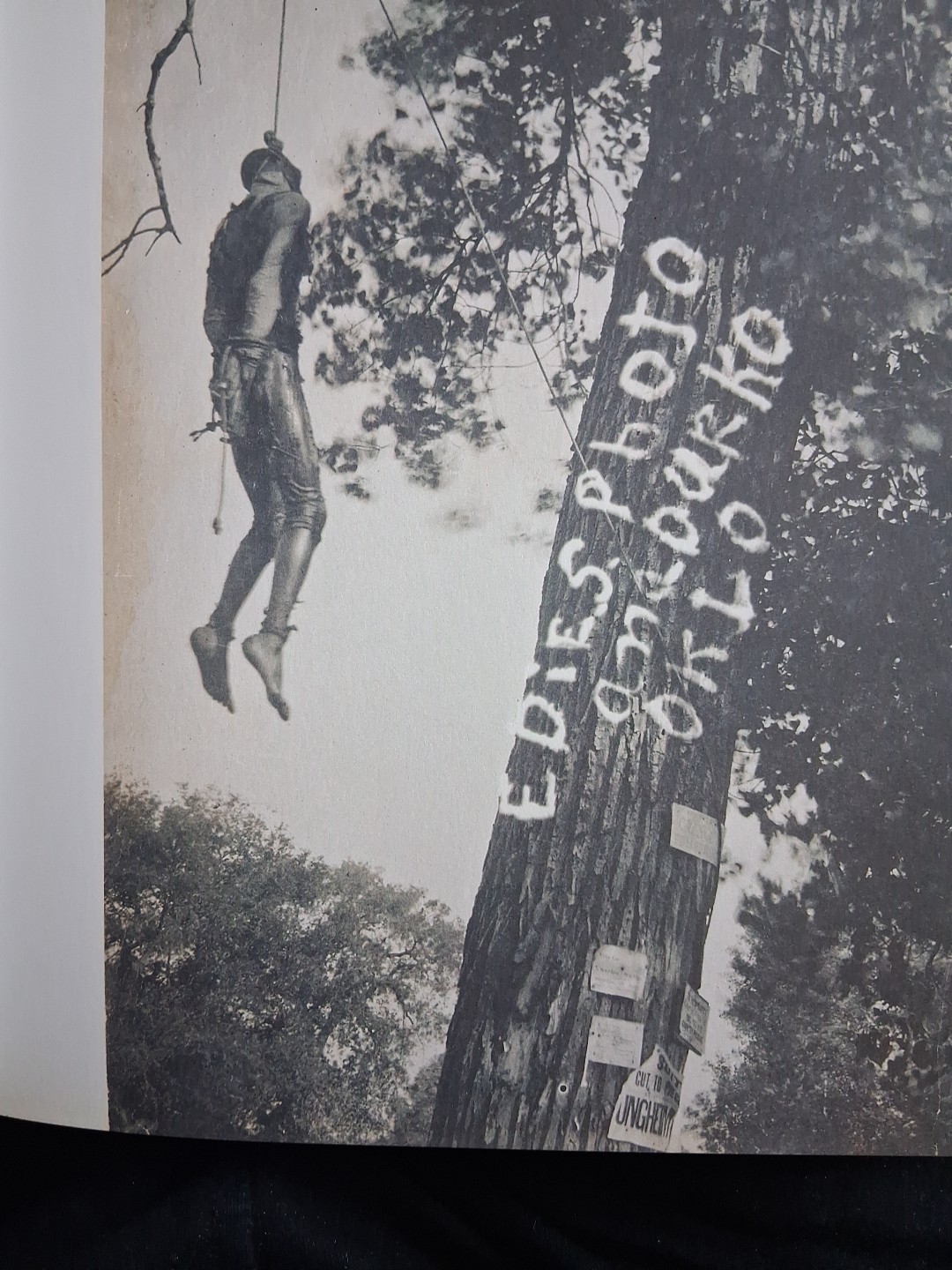 Without Sanctuary: Lynching Photography In America by James Allen, (2003). ÷
