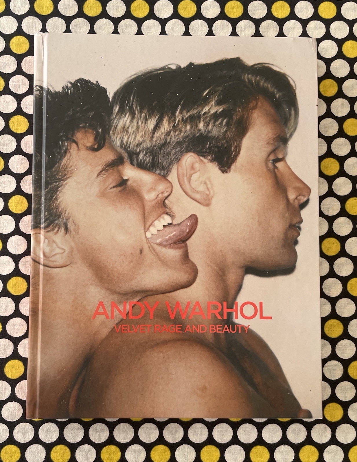 Andy Warhol: Velvet Rage and Beauty (Prestel) Hardcover Coffee Table Book
