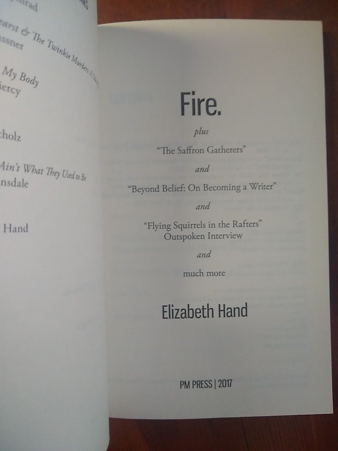 PM Press Outspoken Authors Series: Fire by Elizabeth Hand (2017, tpb), Like New