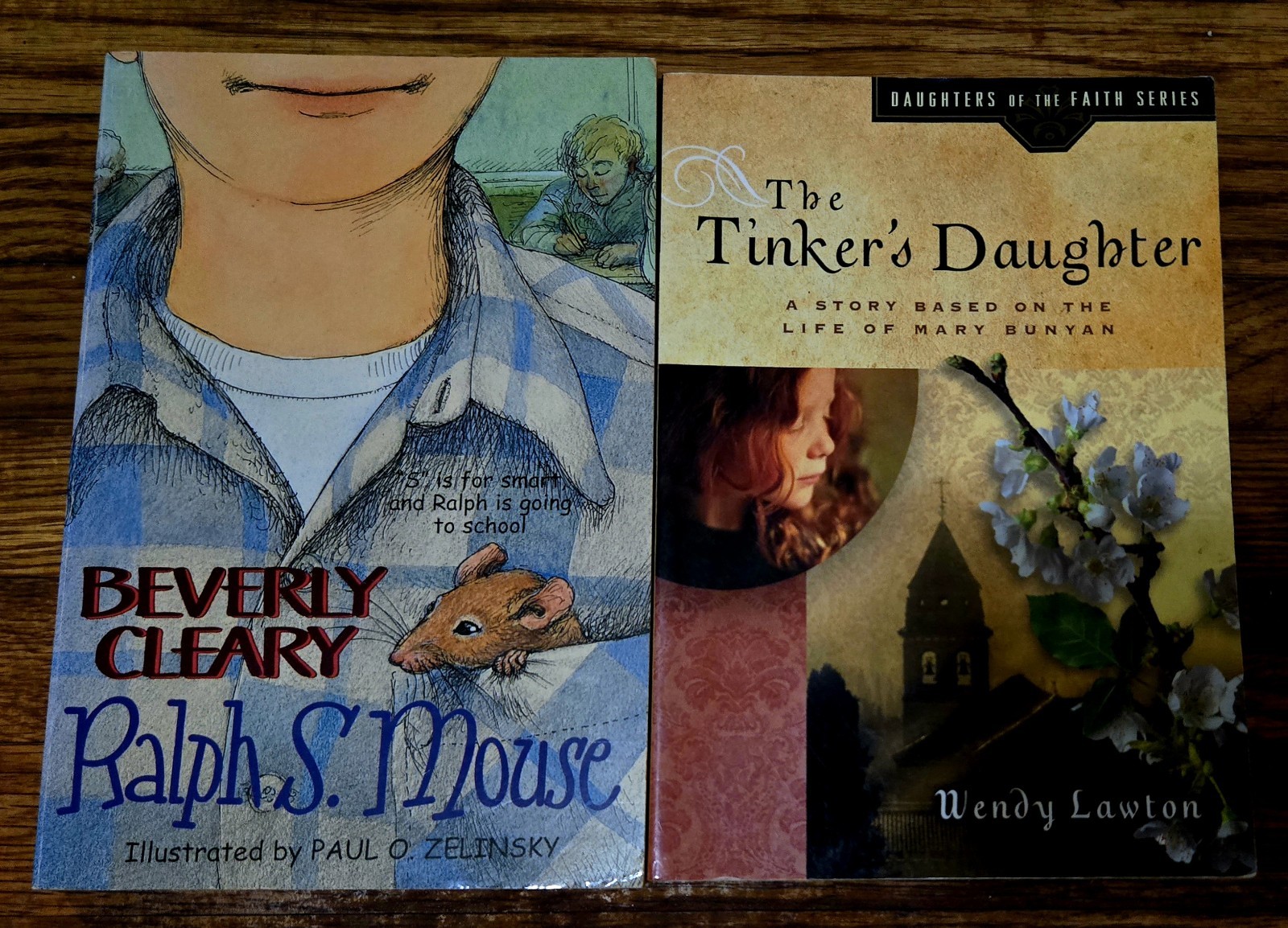 4th 5th Grade 20 Chapter Books Teacher Classroom Library Set Homeschool FB585