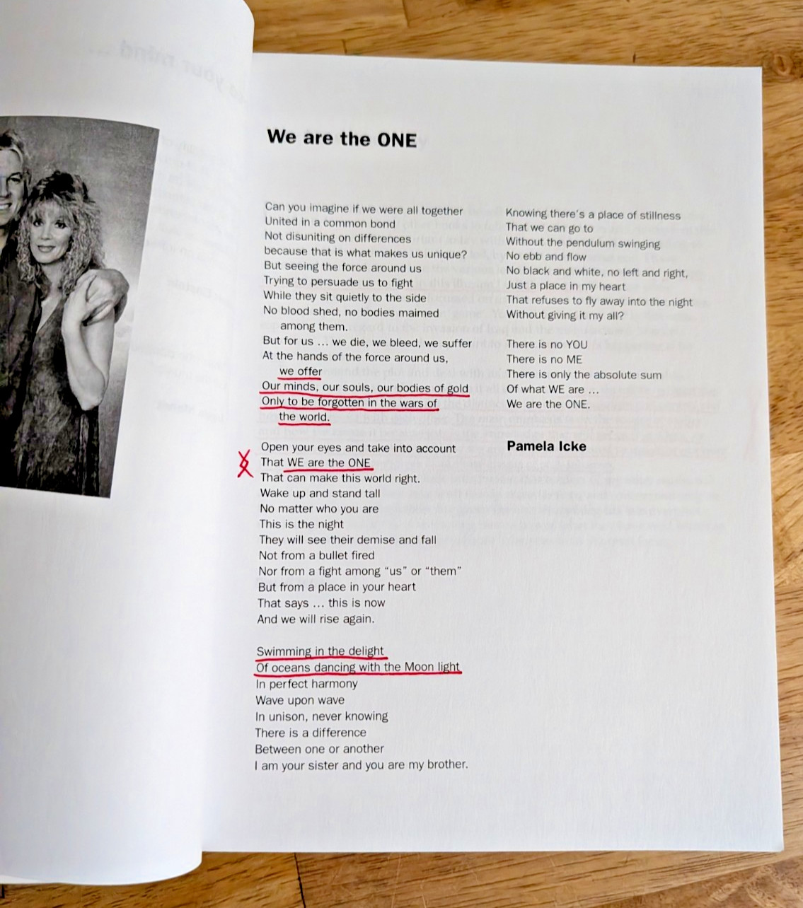 Tales from the Time Loop by David Icke Big Brother Global Conspiracy Book
