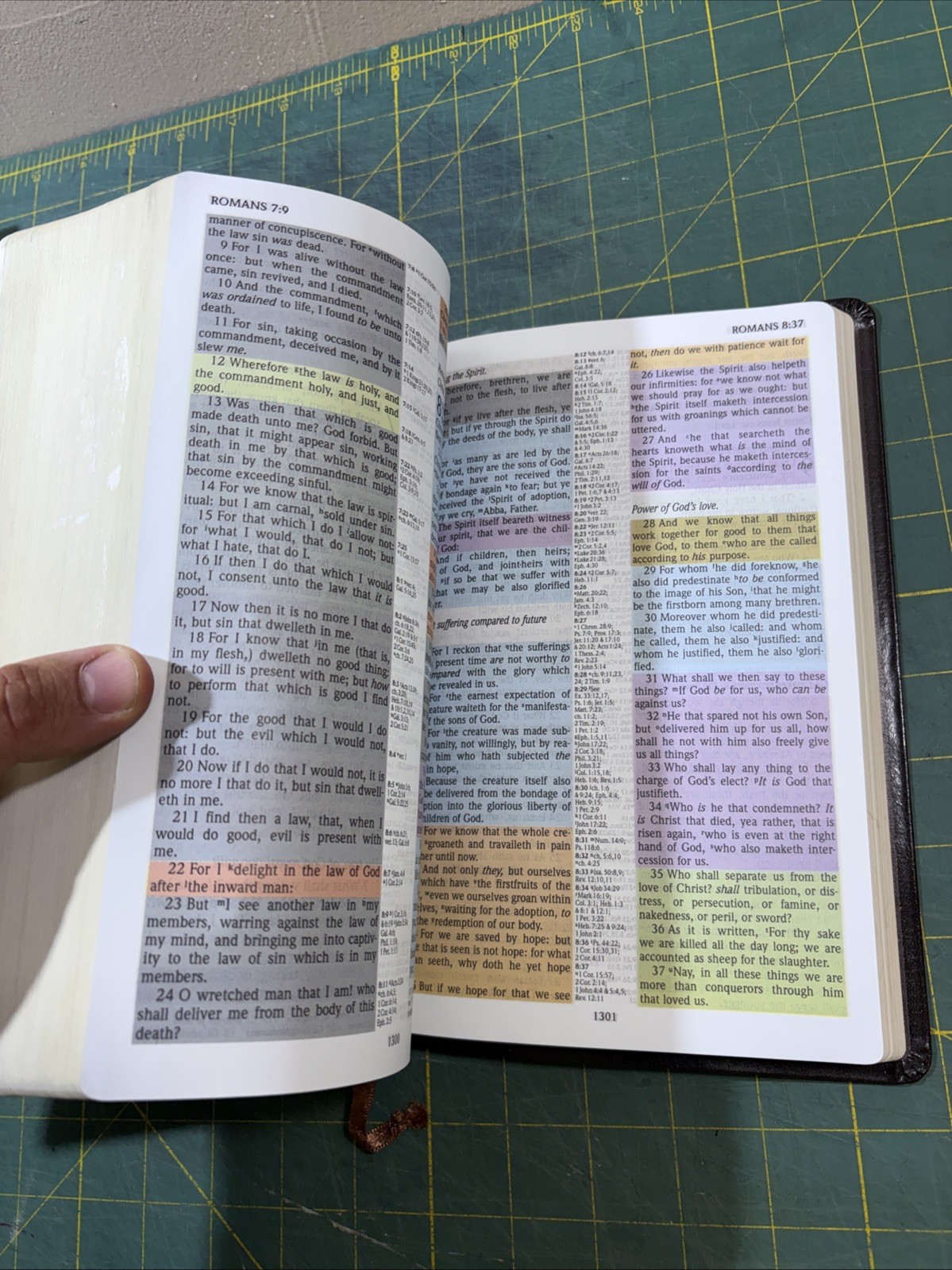 KJV 2013 Rainbow Study Bible Brown Bonded Leather