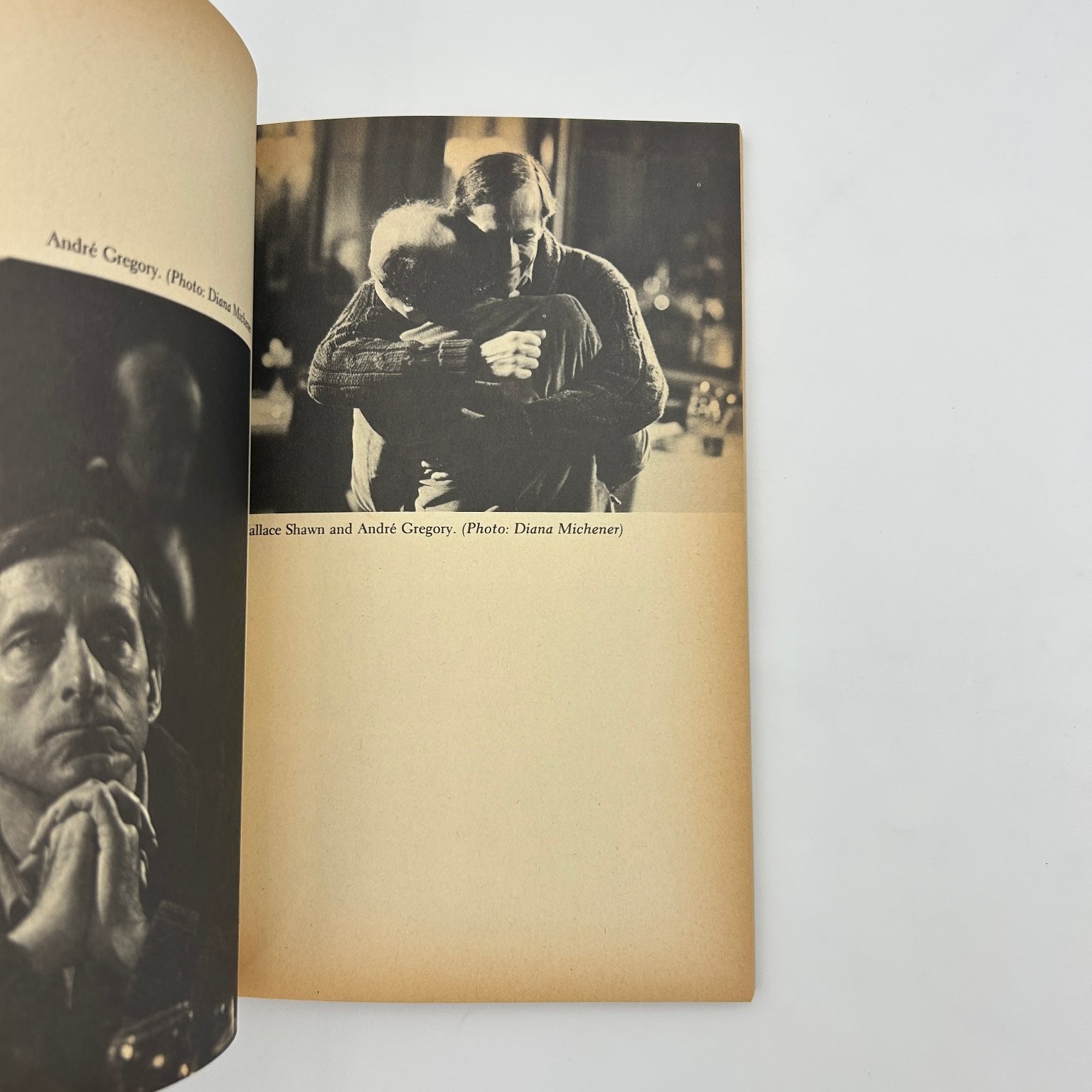 My Dinner with Andre Shawn Gregory 1981 First Evergreen Screenplay Grove Press